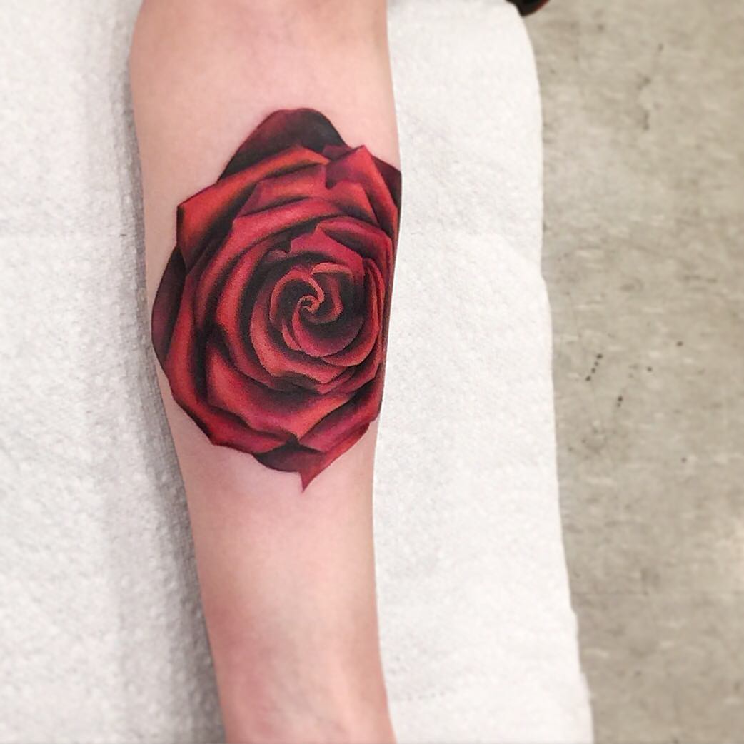 Flower, Rose