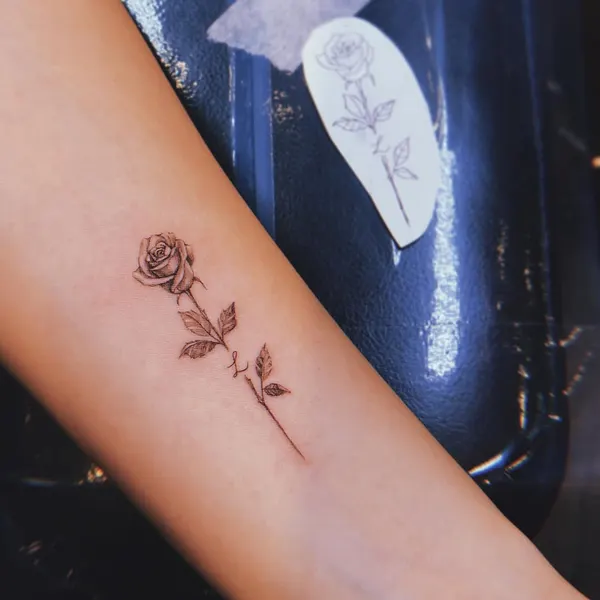 Flower, Rose