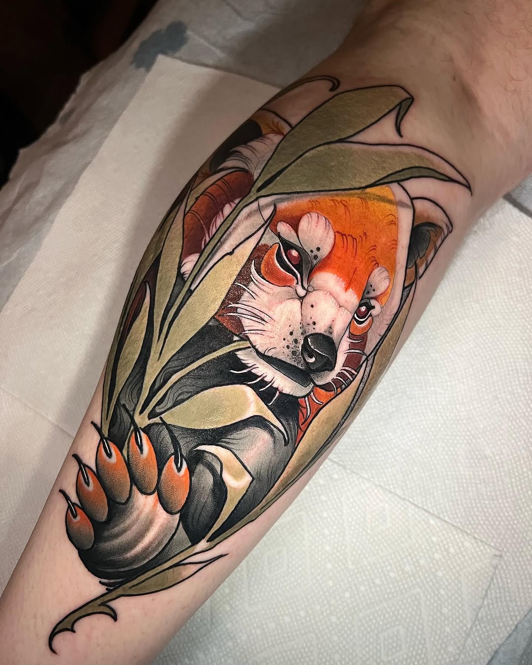 Animal