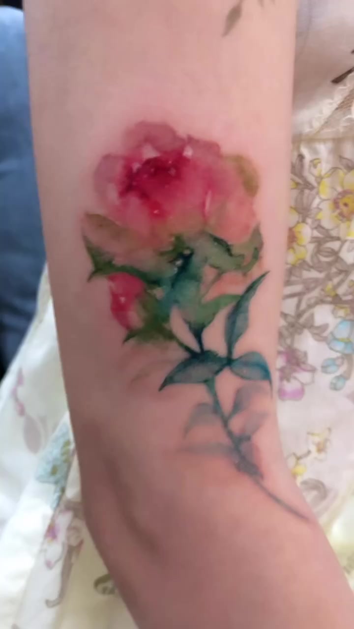 Flower, Rose