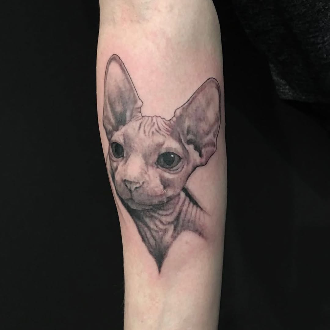Animal