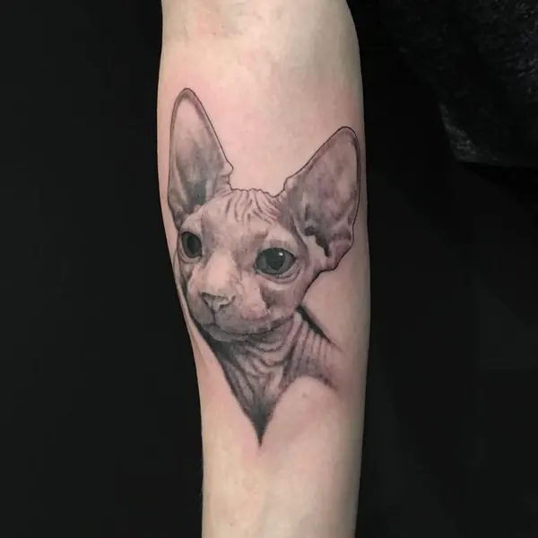 Animal
