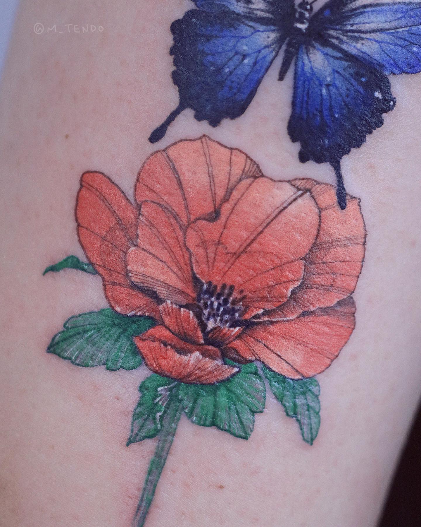 Animal, Nature, Flower