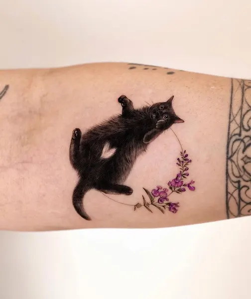 Animal