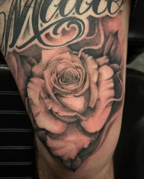 Flower, Rose