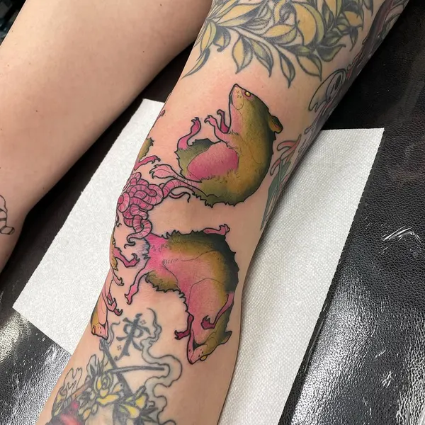 Dragon
