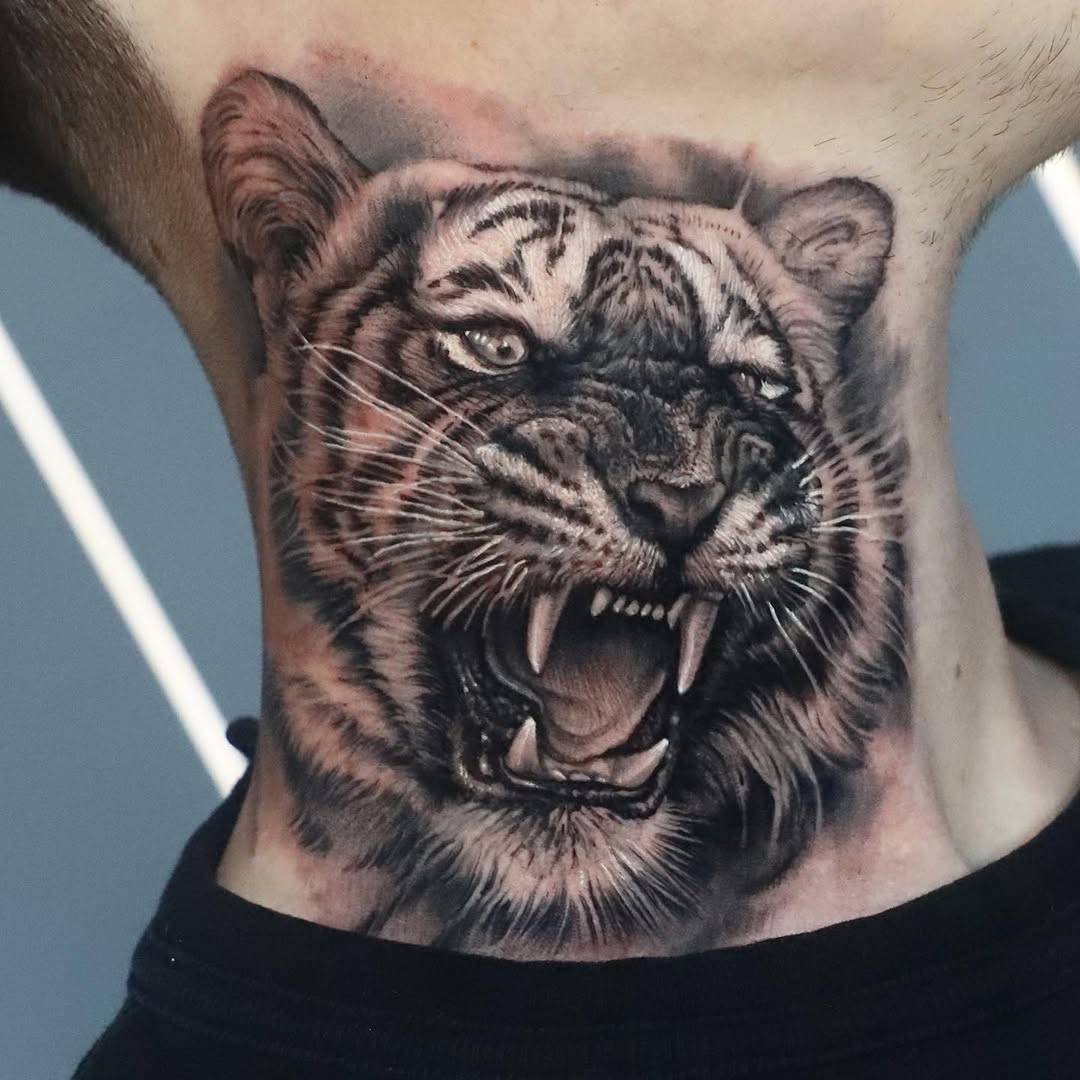 Tiger, 한국 호랑이, 중국 호랑이, 재규어
