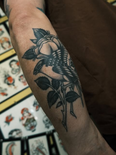 hctattooer