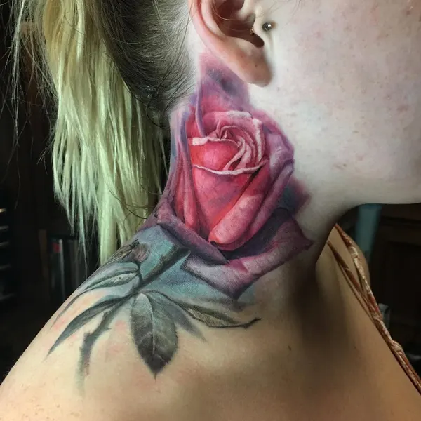Flower, Rose, Nature