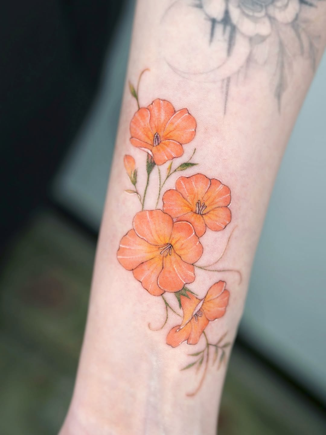 Flower