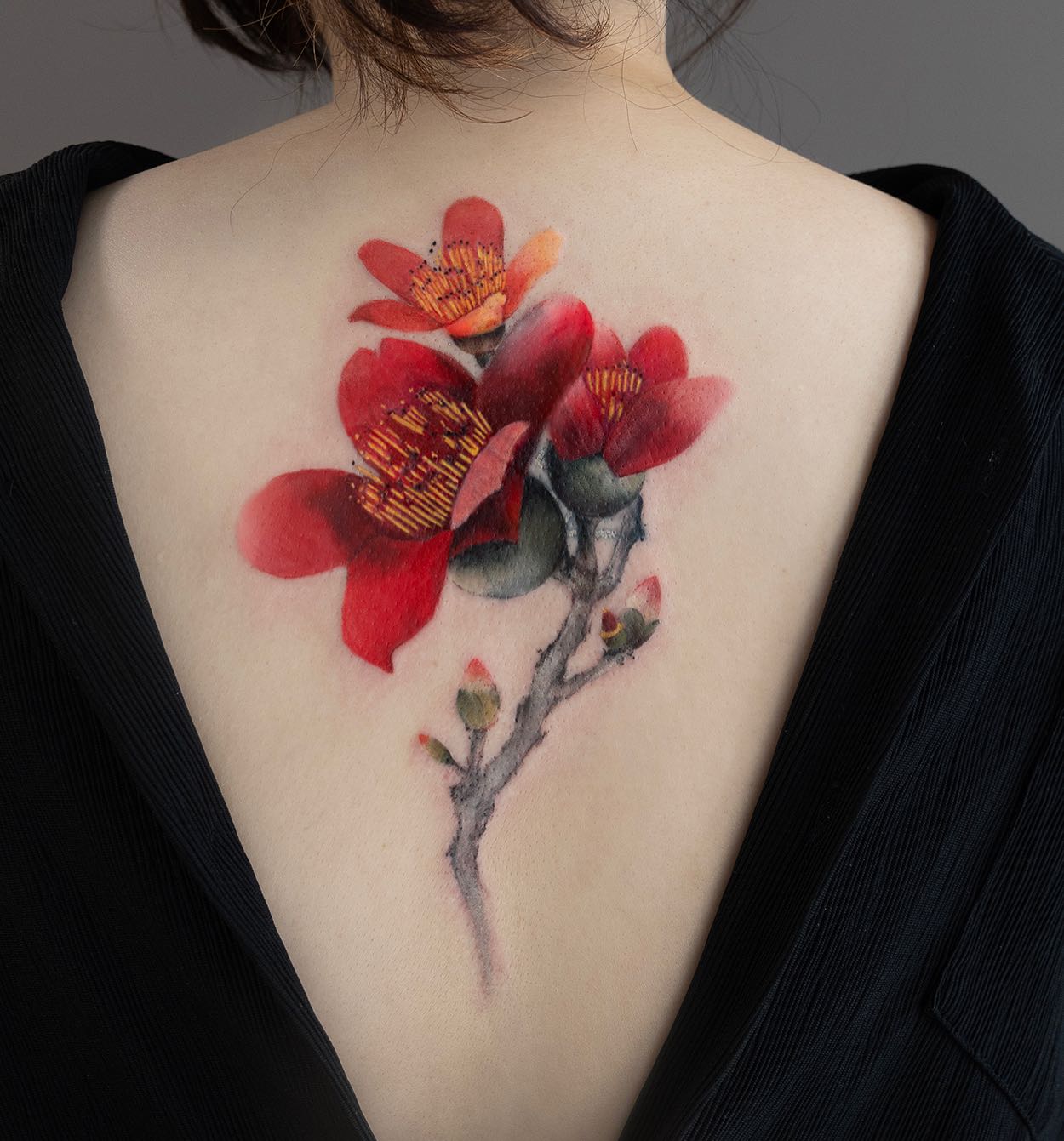 Flower, Rose, Nature