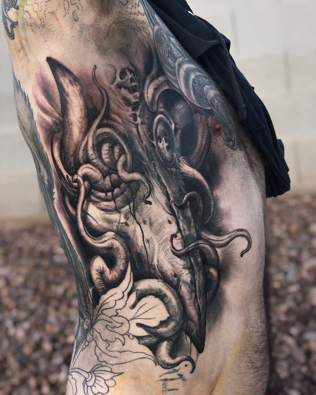 Animal, Dragon