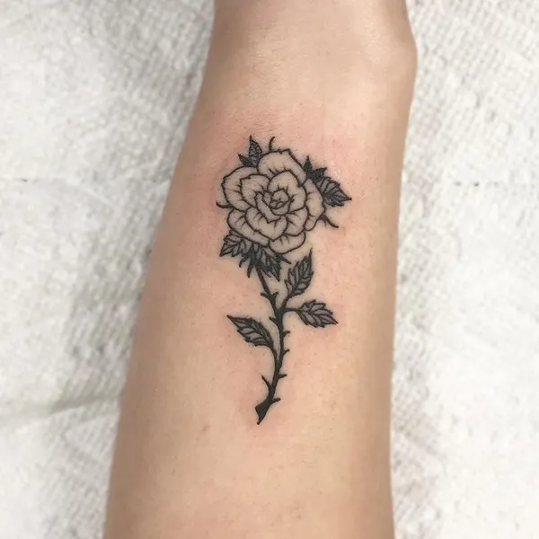 Flower, Rose