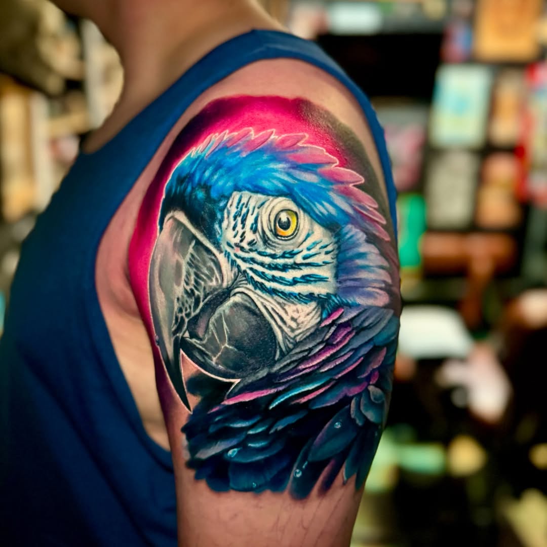 Animal, Nature, 앵무새