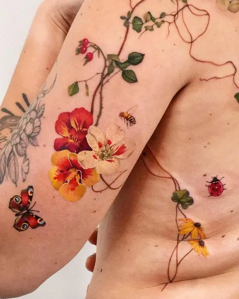 Flower, Nature, Rose