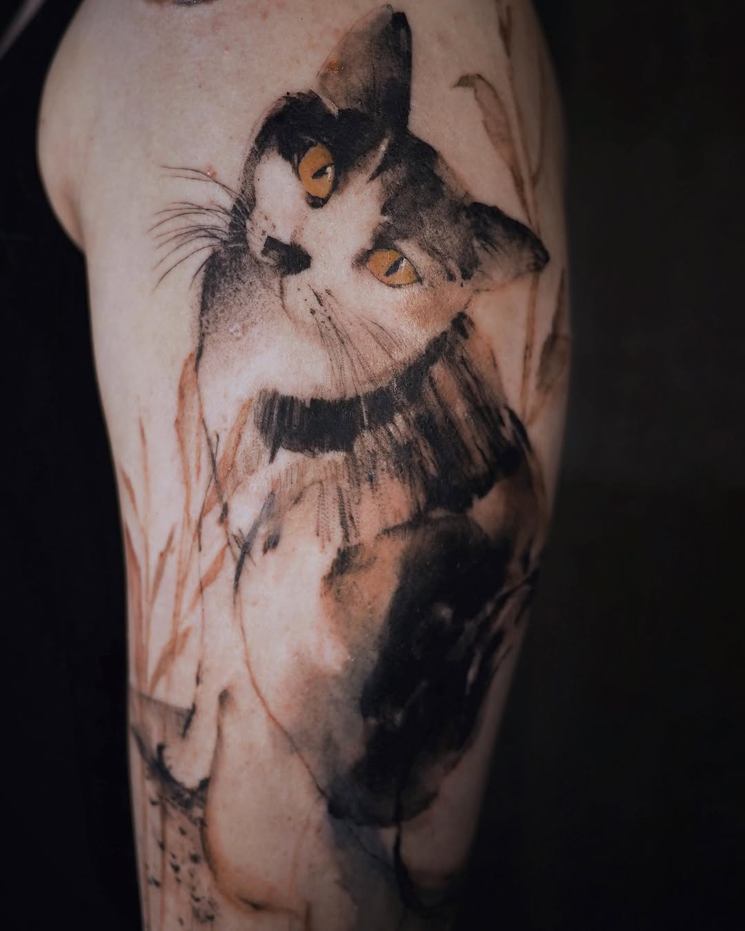 Animal