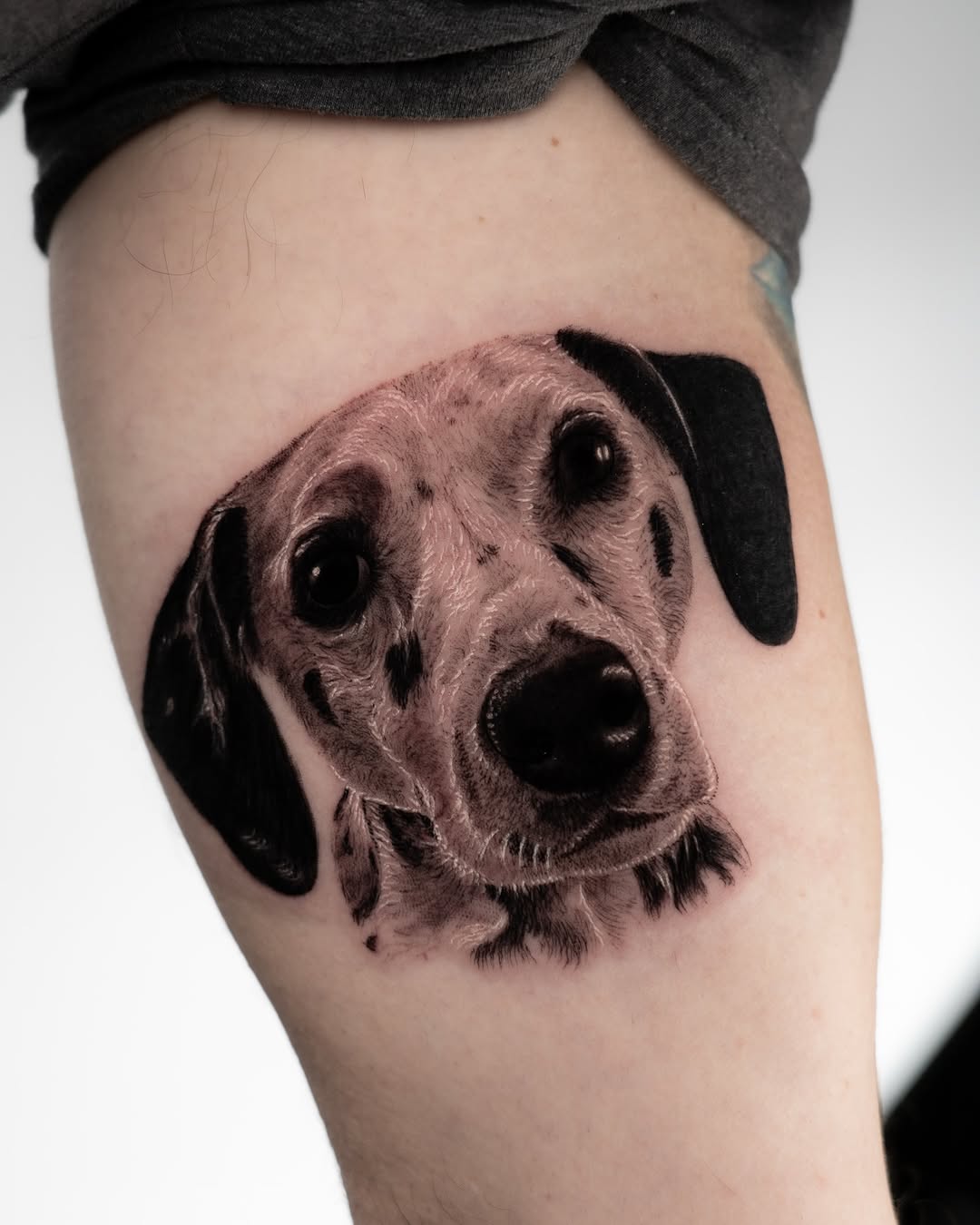 lewis.tattoo
