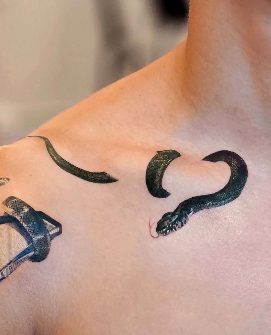 equilattera