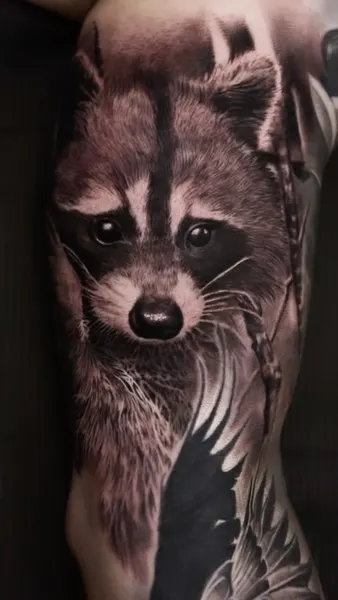 Animal