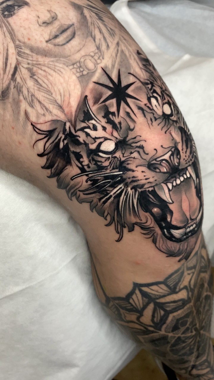 Tiger