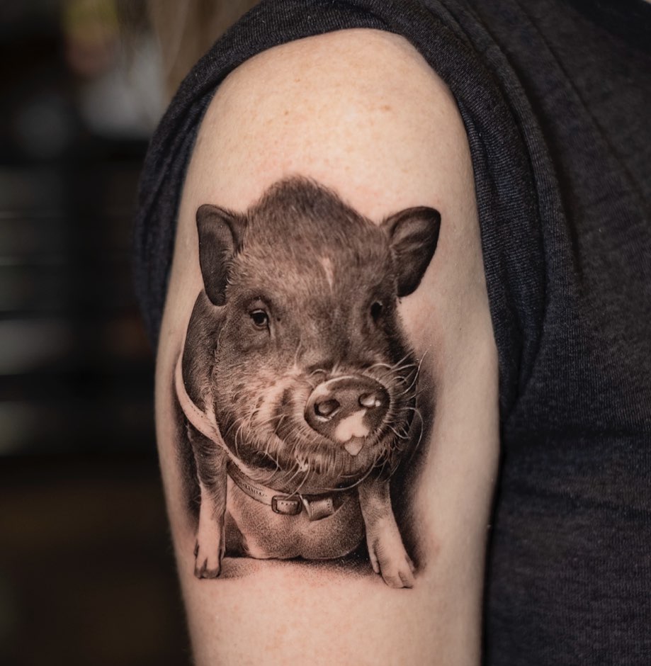 Animal