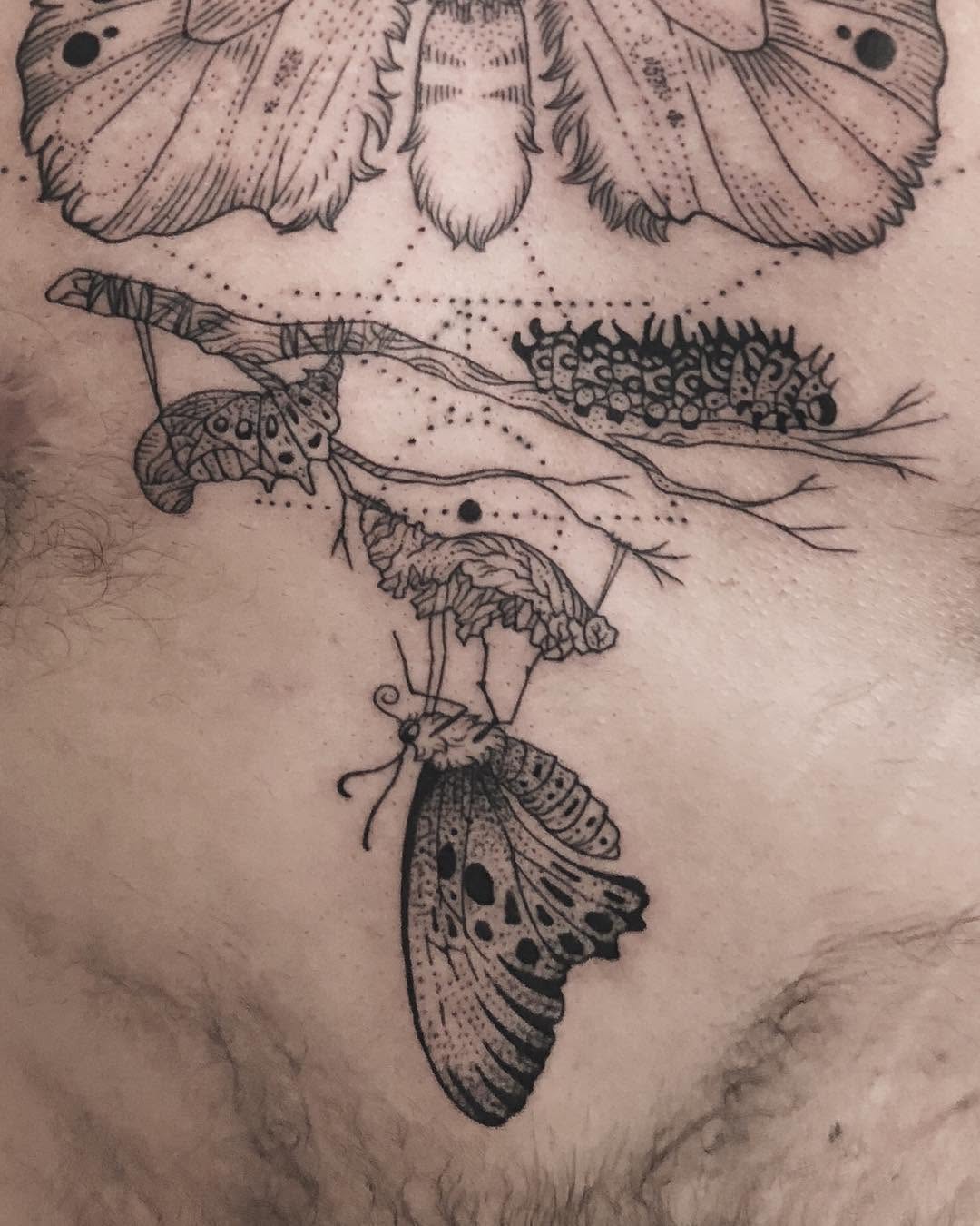 freeorgy
