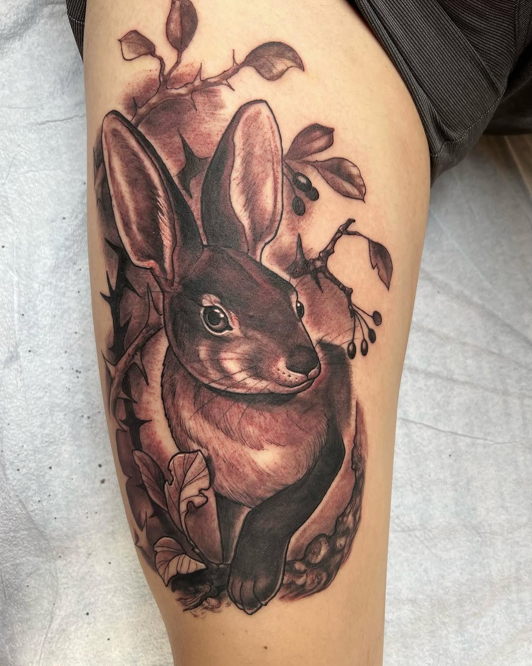 shawn_hebrank