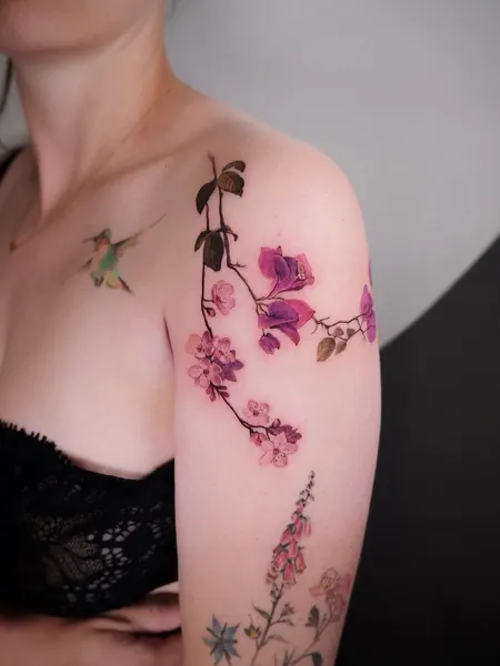 Flower, Rose, Nature