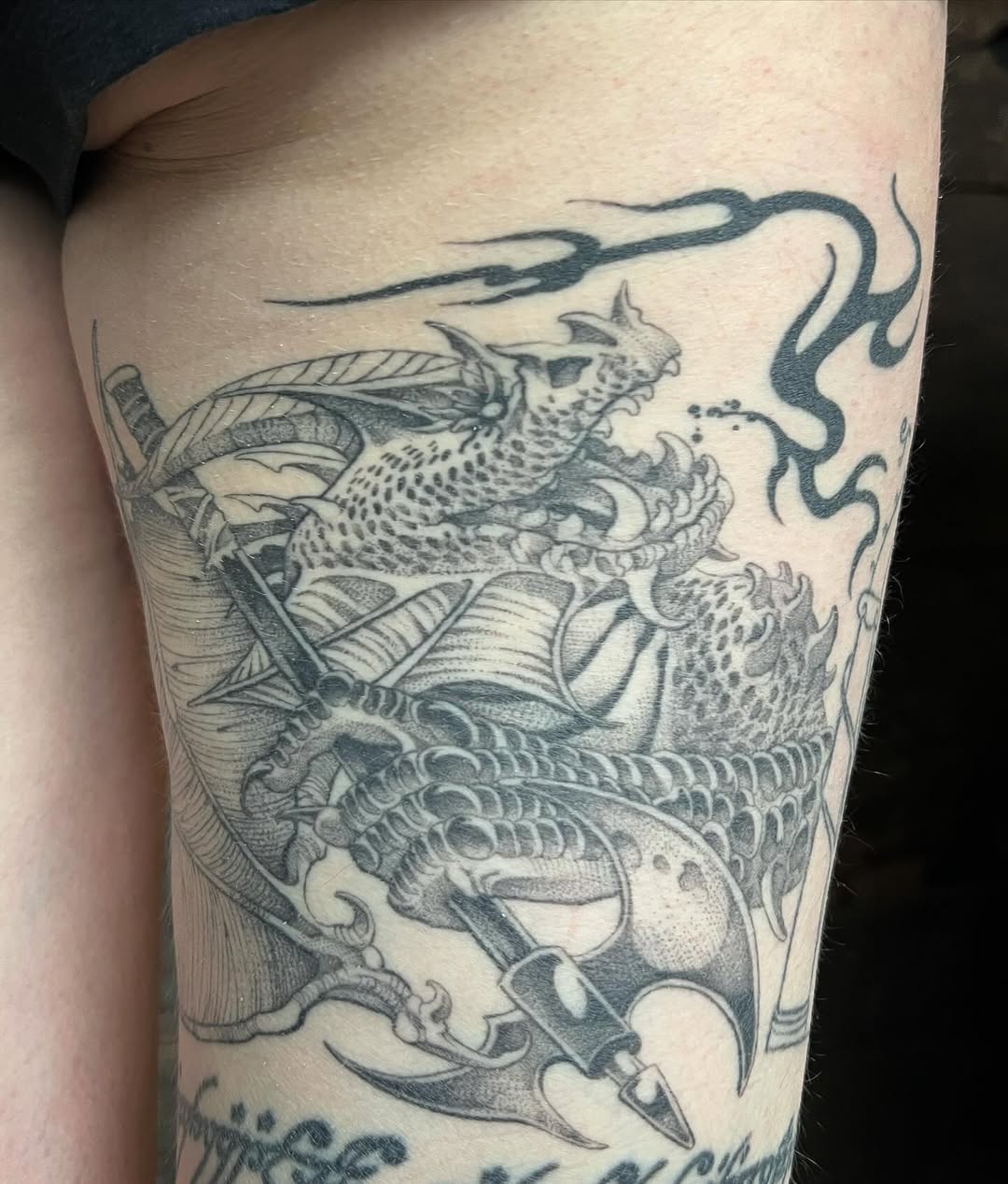 Dragon