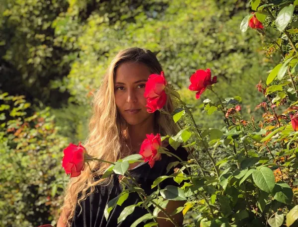 Flower, Rose, Nature