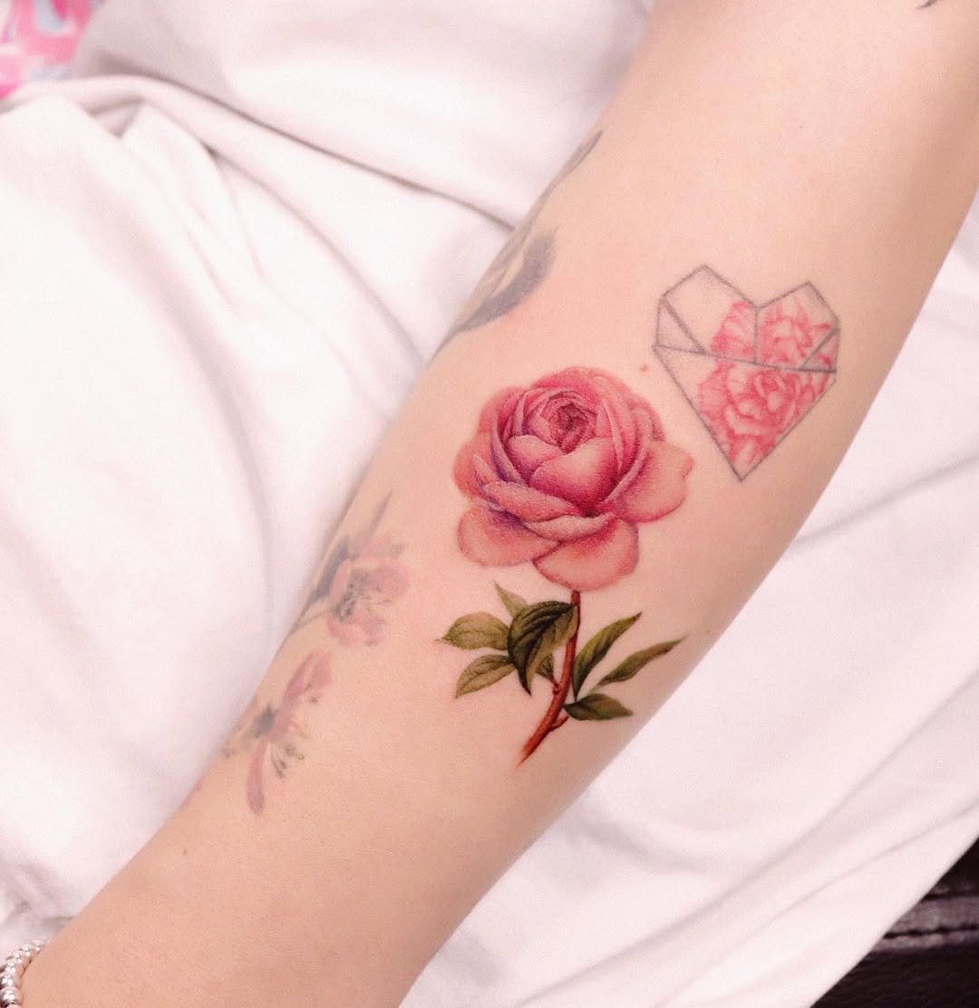 Flower, Rose