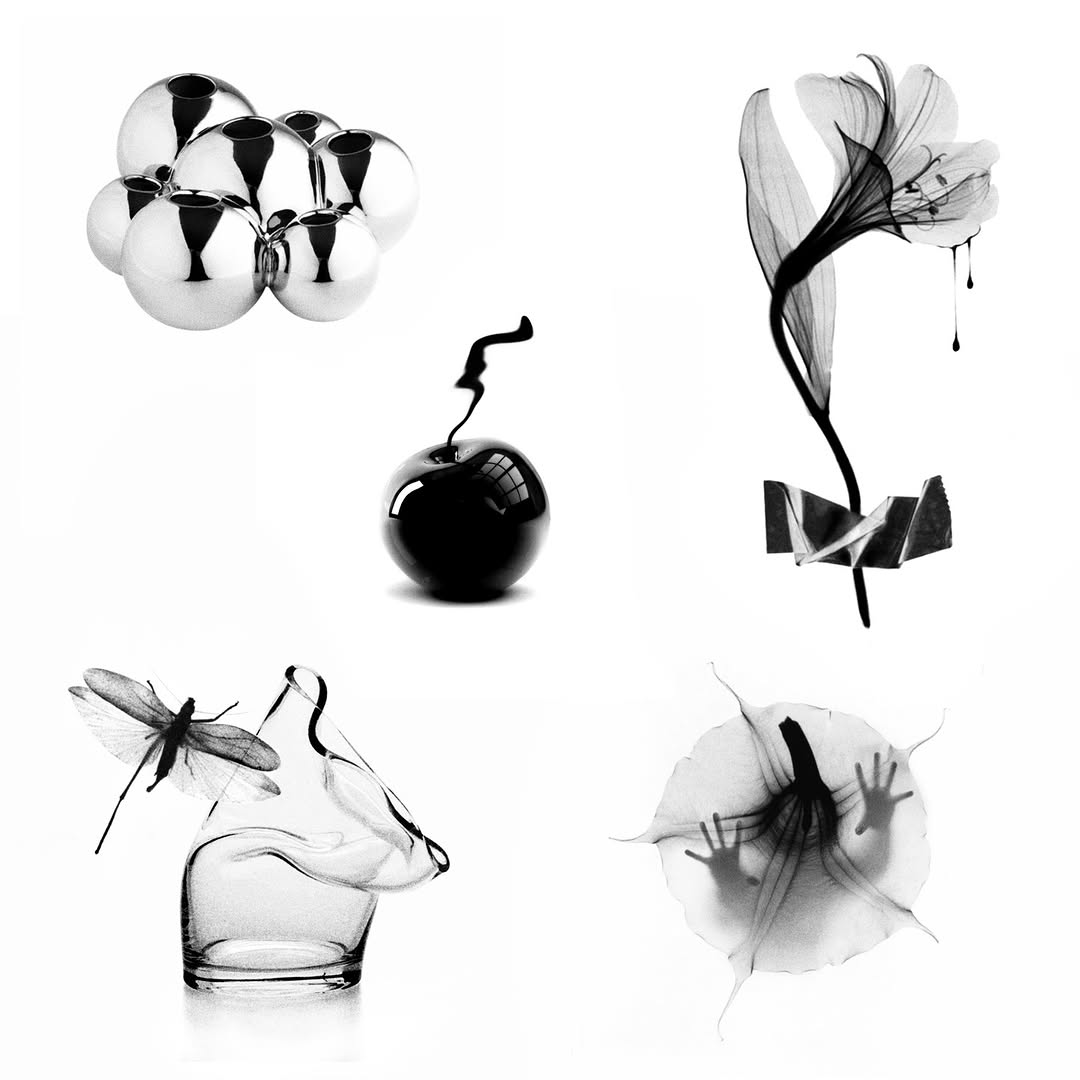 plantsnpokes