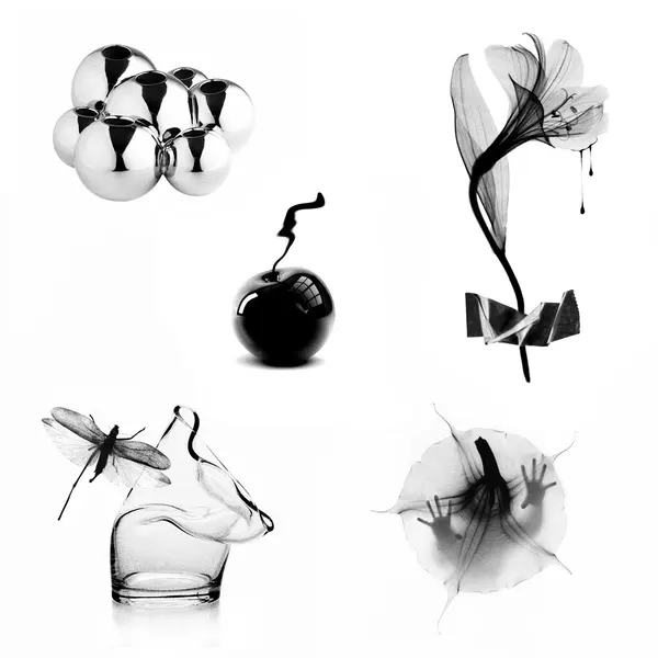 plantsnpokes