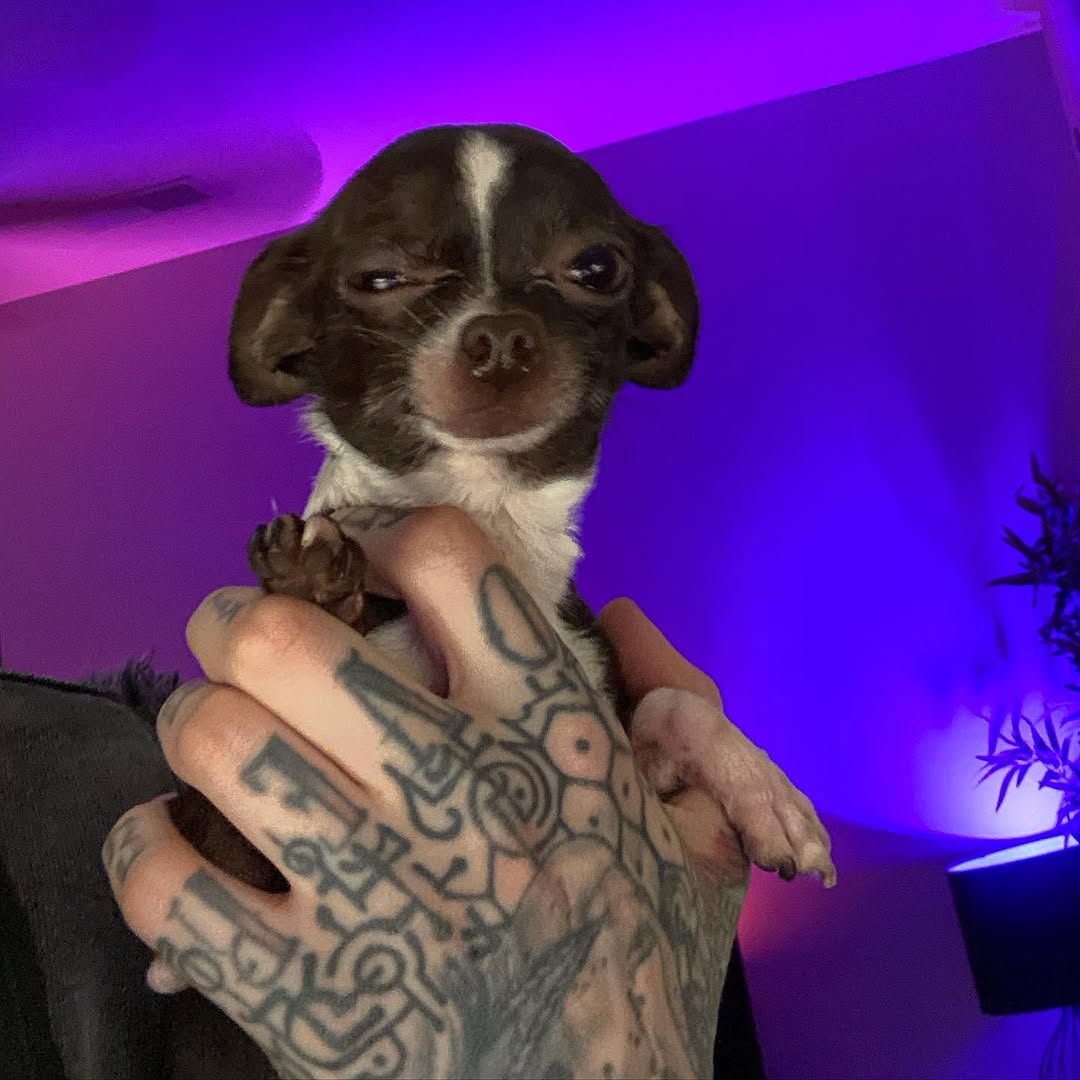 Sloo Tattoos