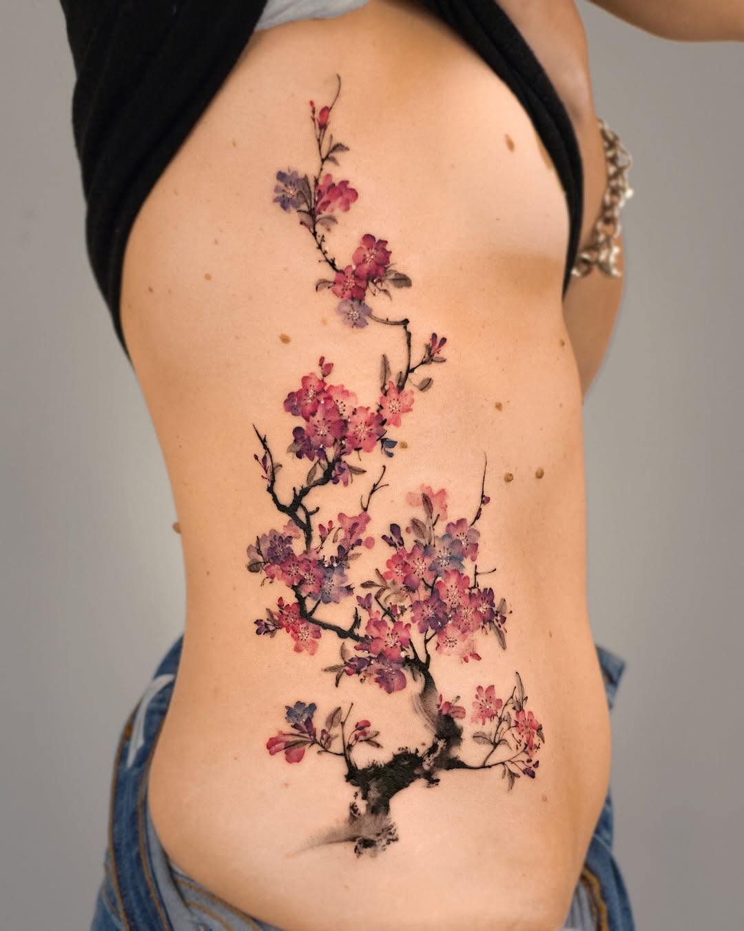 Flower, 벚꽃, Nature