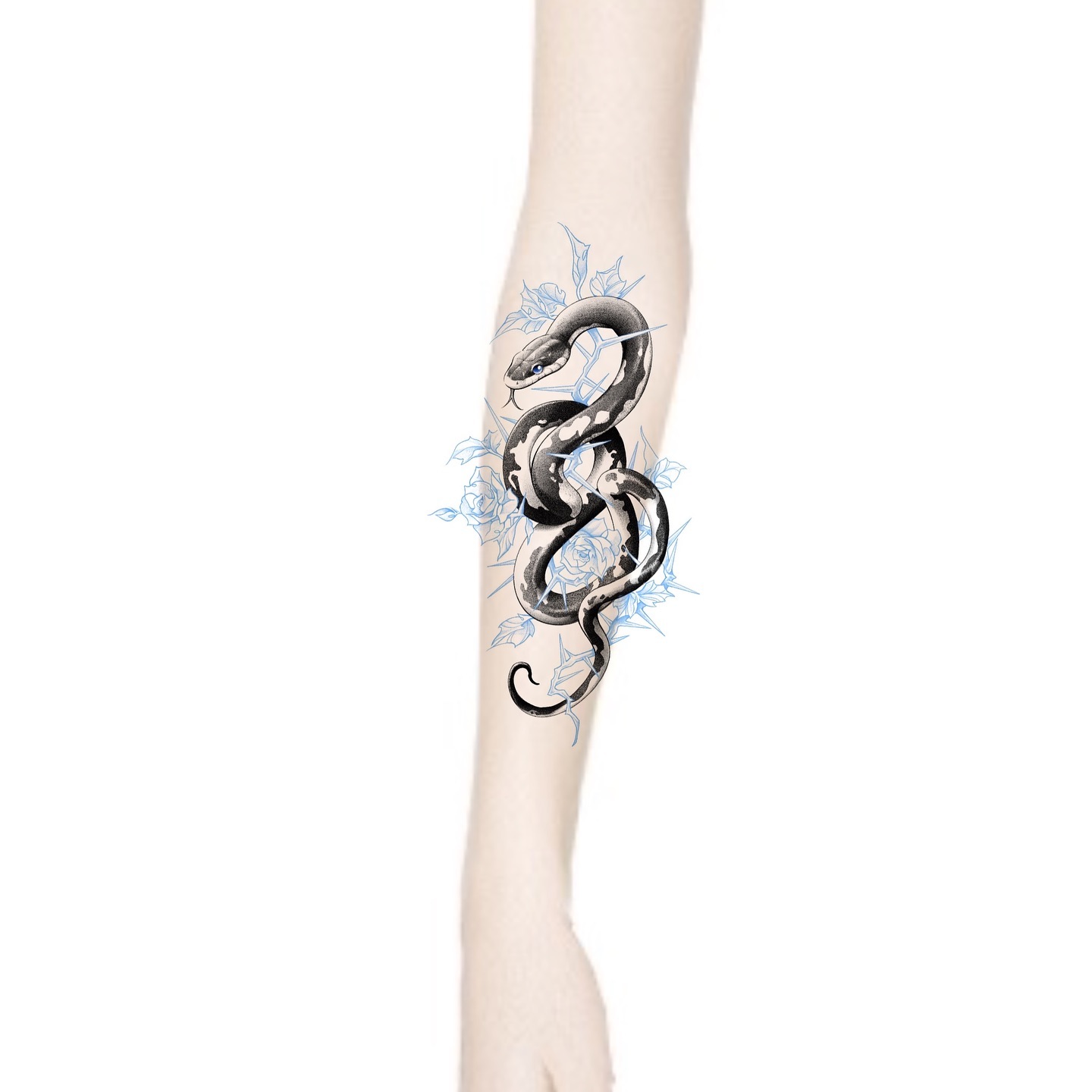 Snake, Dragon