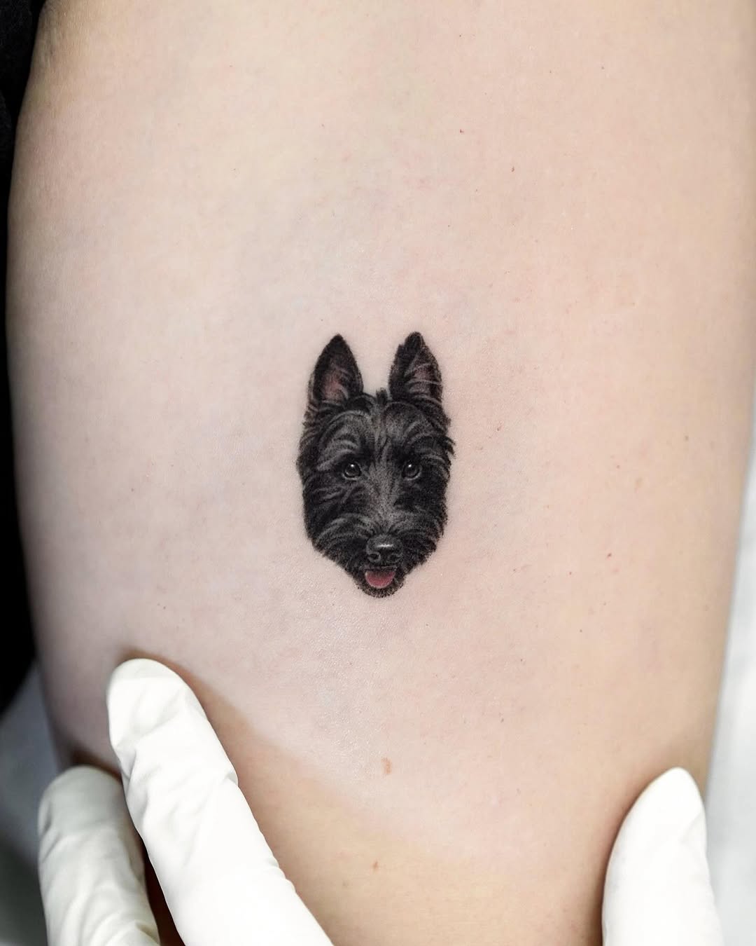 dorok.tattoo
