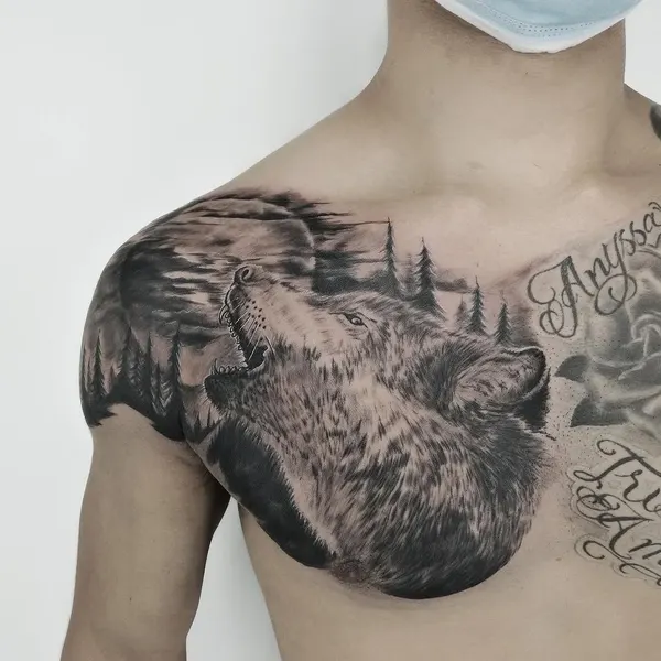 Animal