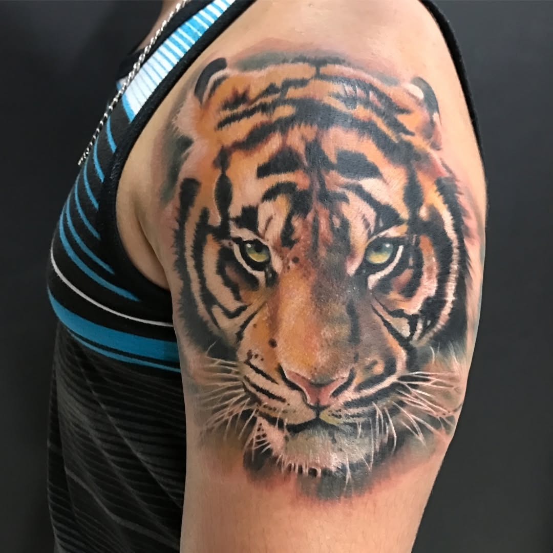 Tiger