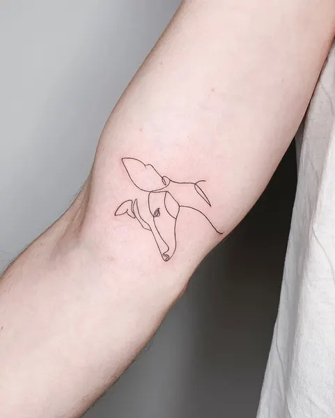염소자리, 바람, 백조