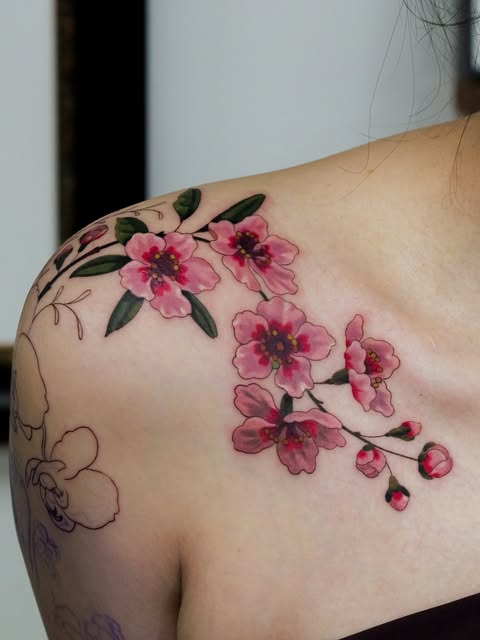 Flower, Rose