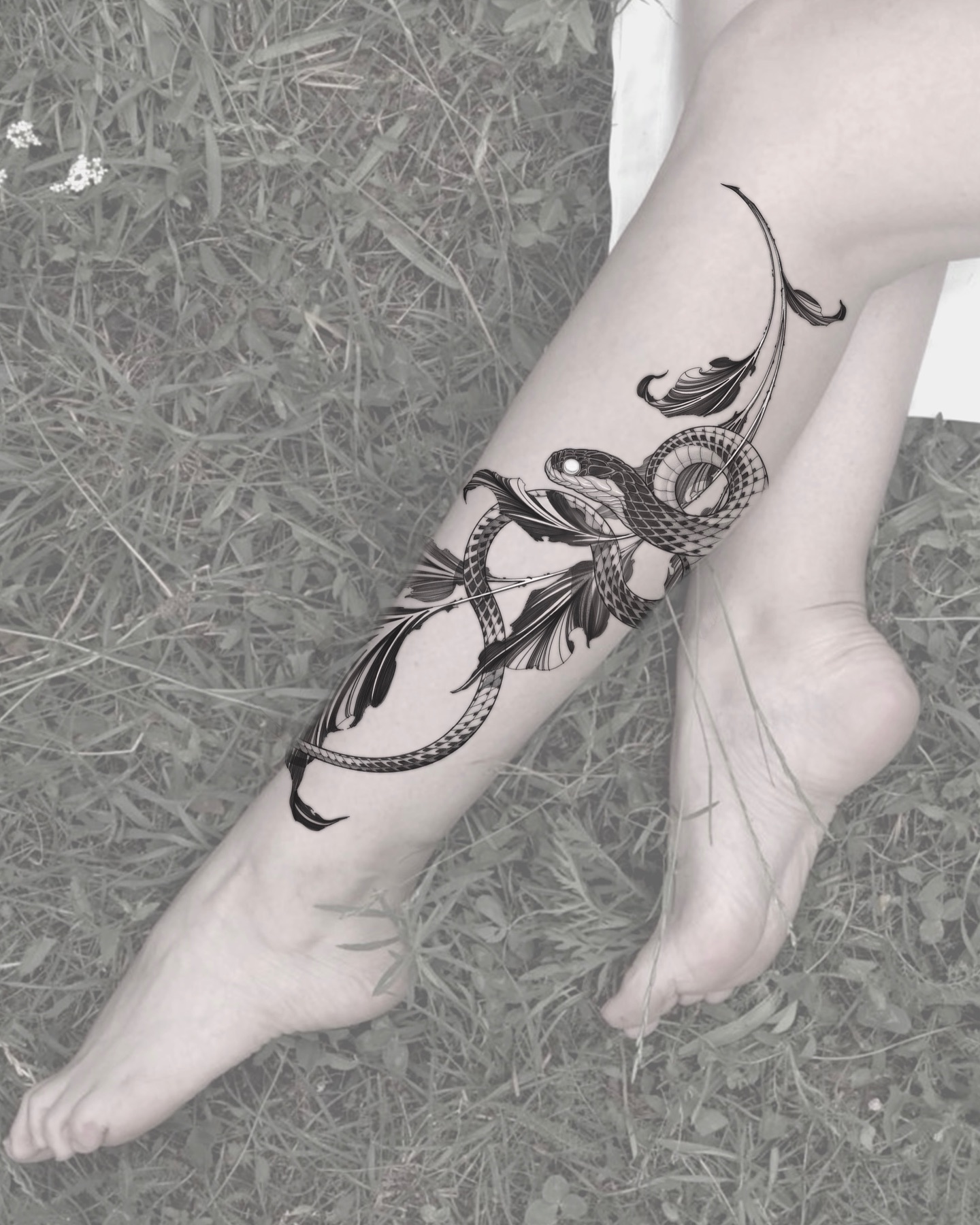 Snake, Dragon