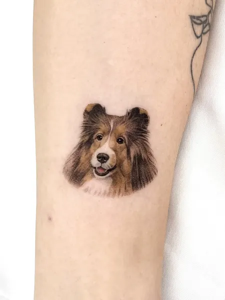 강아지