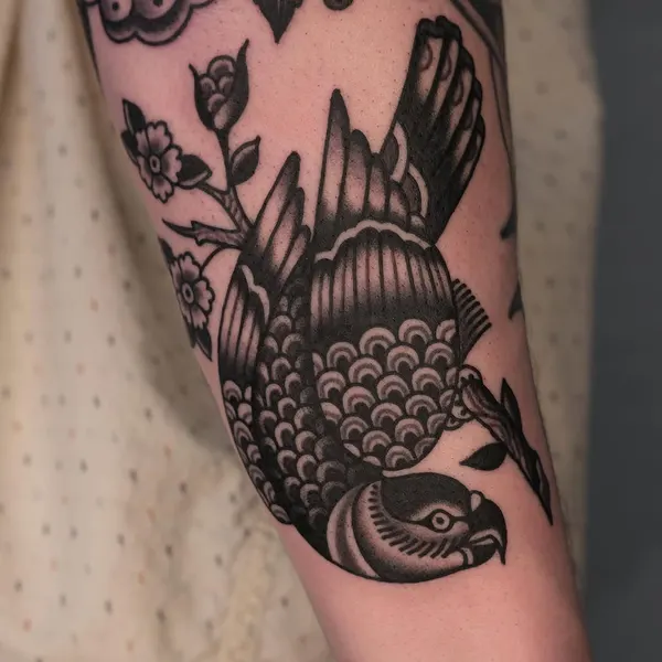 Animal, Nature