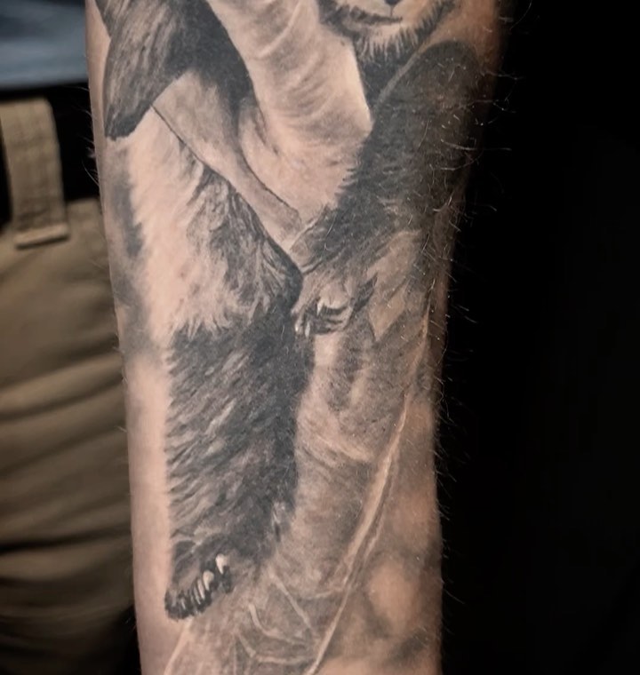 Animal