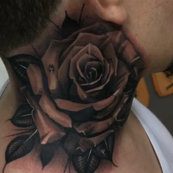 Flower, Rose, Nature