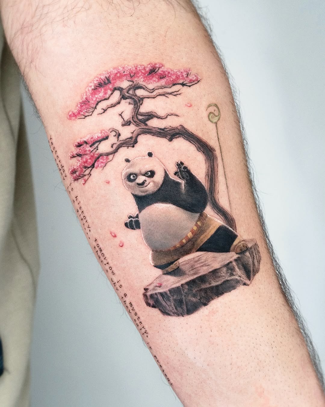 판다, Animal