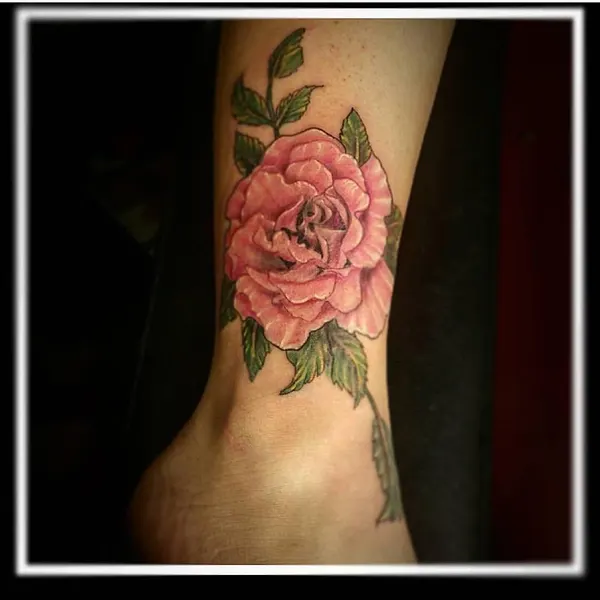 Flower, Rose