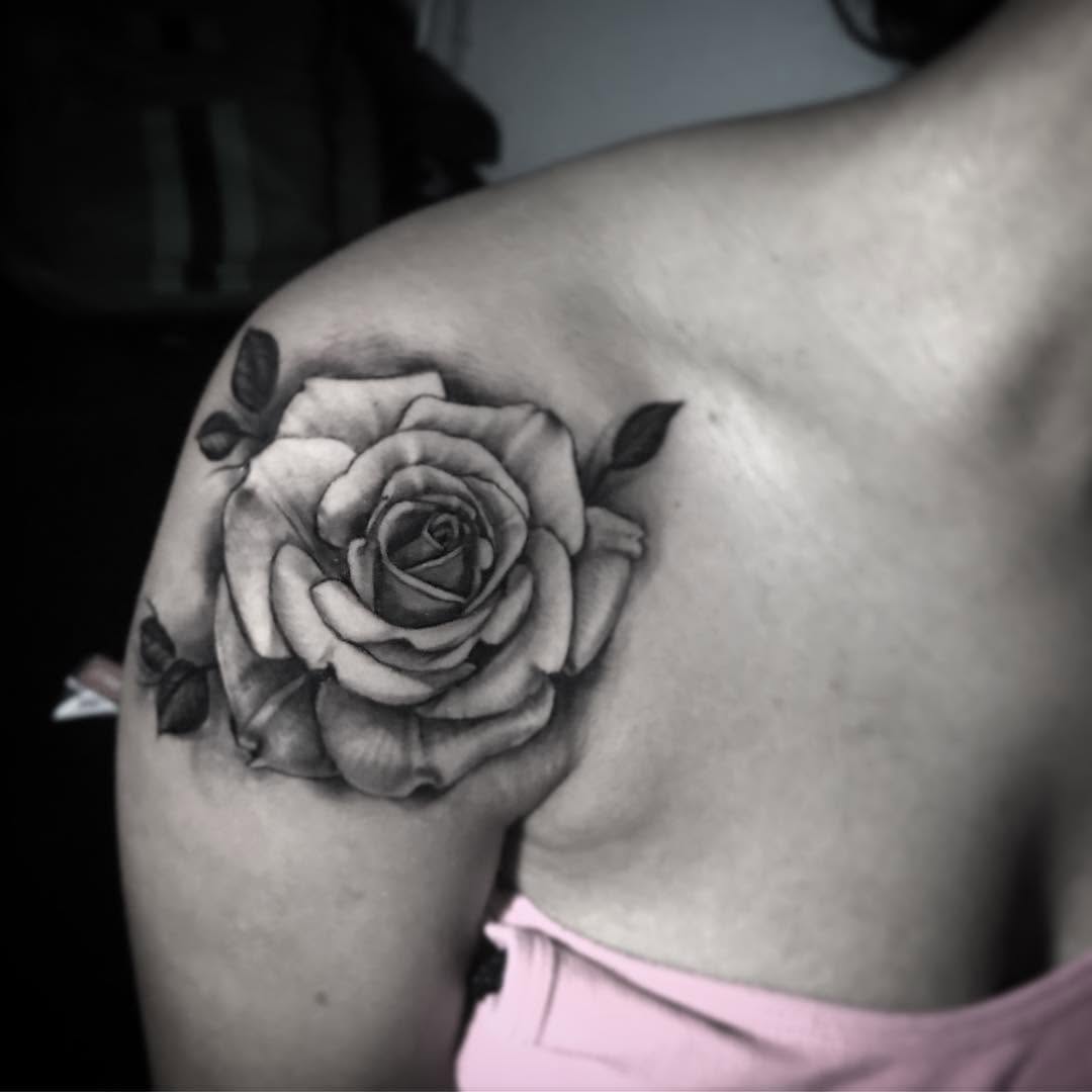 Flower, Rose, Nature