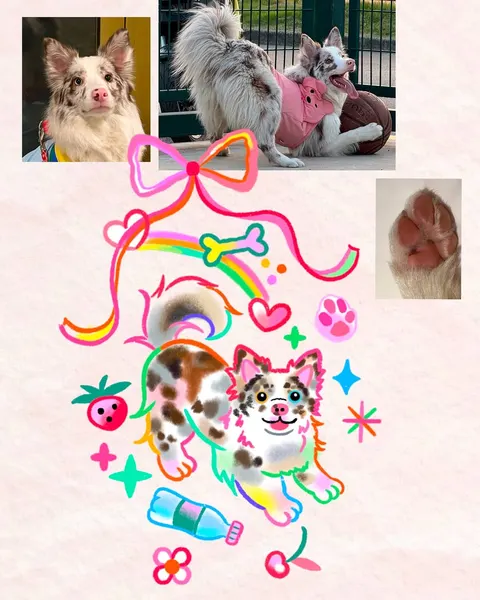 Animal